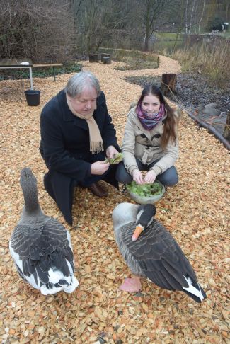 Spende Erna Ente 1 Dez 2017 klein